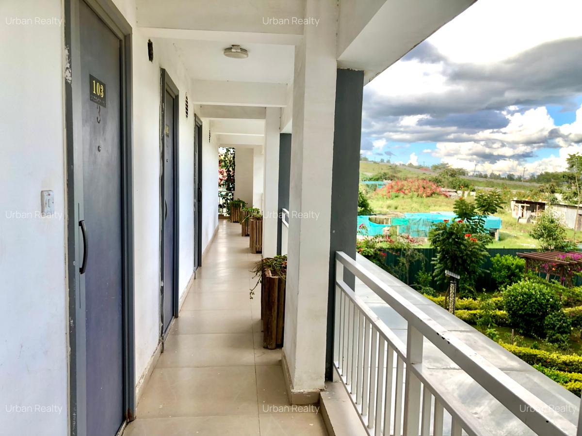 1 Bed Apartment in Athi River - 13
