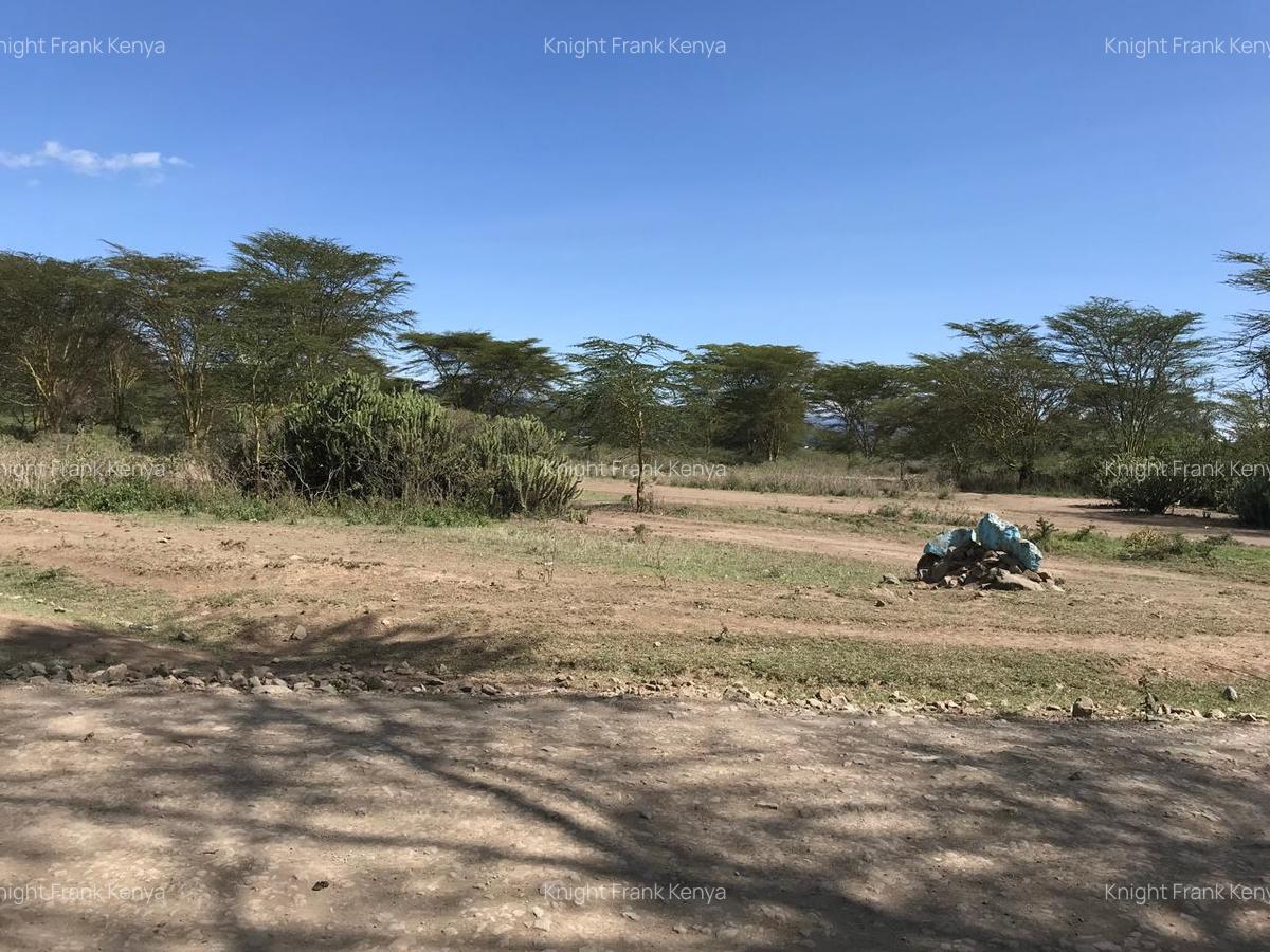 139 ac Land in Naivasha - 6
