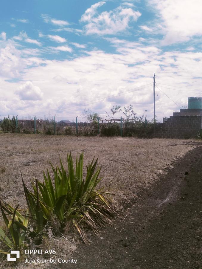 Residential Land in Juja Farm - 20