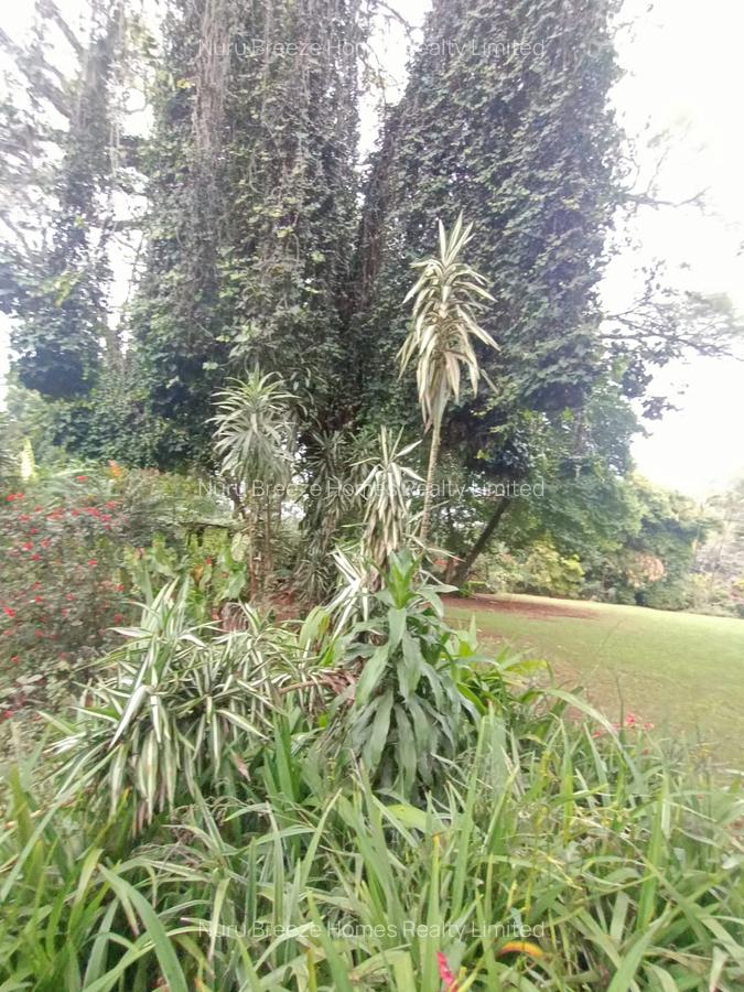 1 ac Land in Lavington - 5