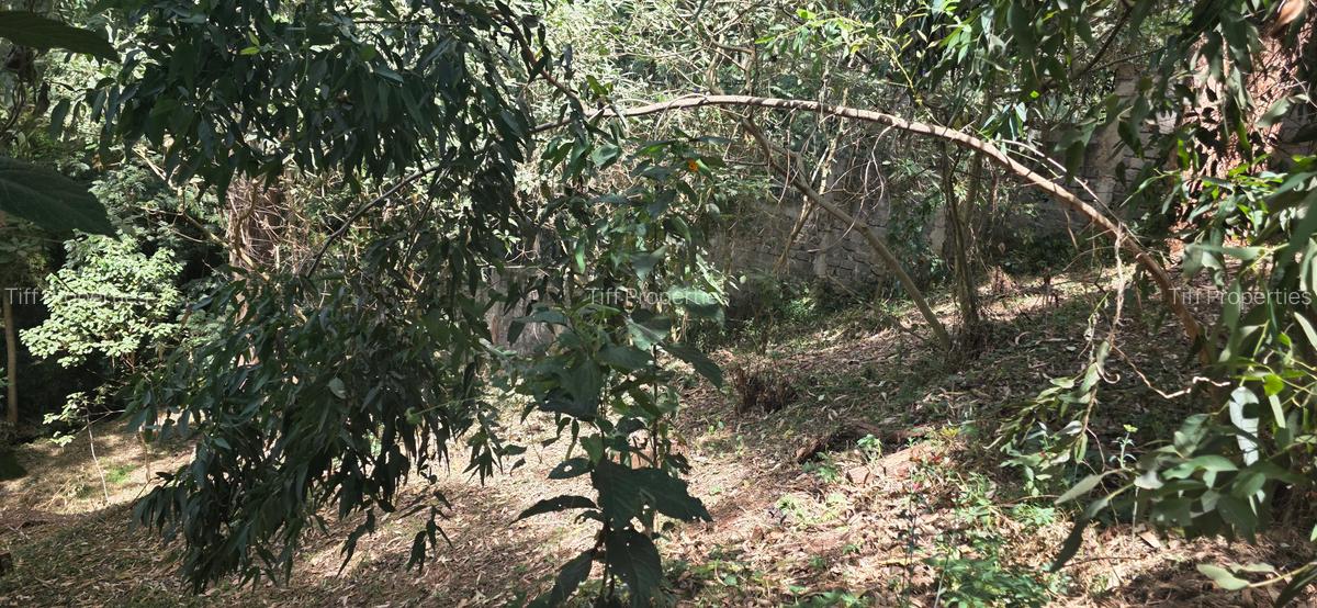 Land in Kitisuru - 4