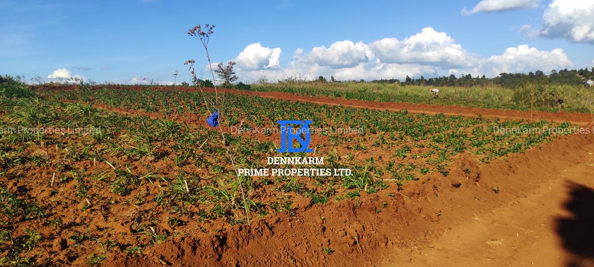 0.05 ha Residential Land at Thigio - 7