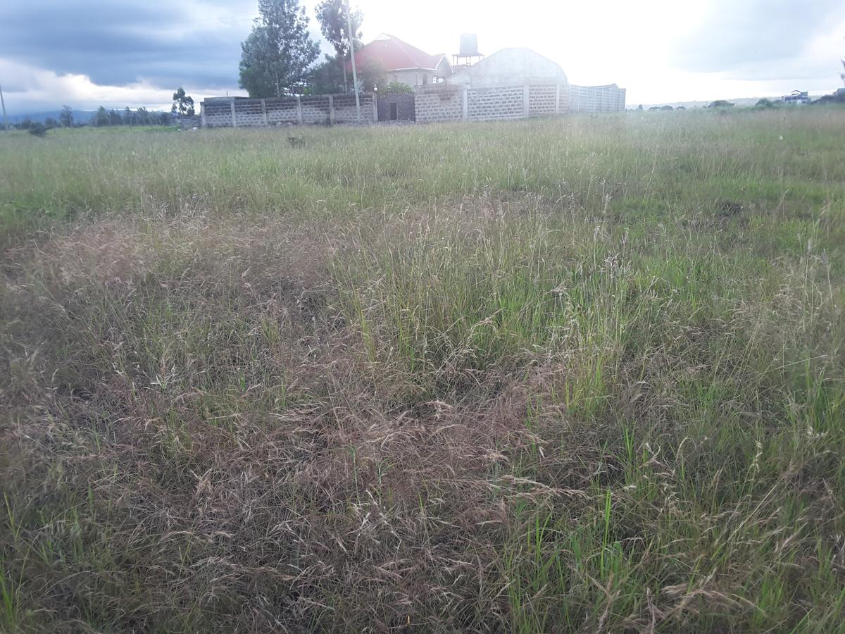 0.25 ac Land in Ongata Rongai - 8