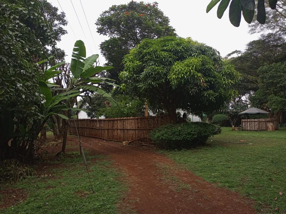 1 ac Land in Kitisuru - 4