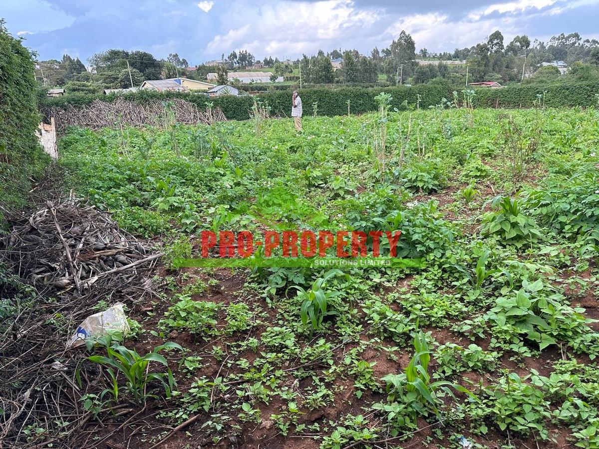 0.15 ha Residential Land at Kamangu - 9