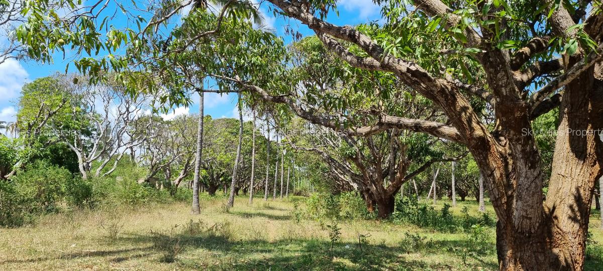 6 ac Land at Mtwapa - 12