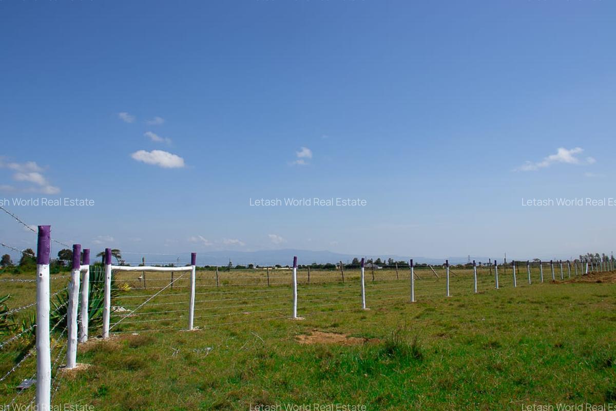 Residential Land in Naivasha - 2