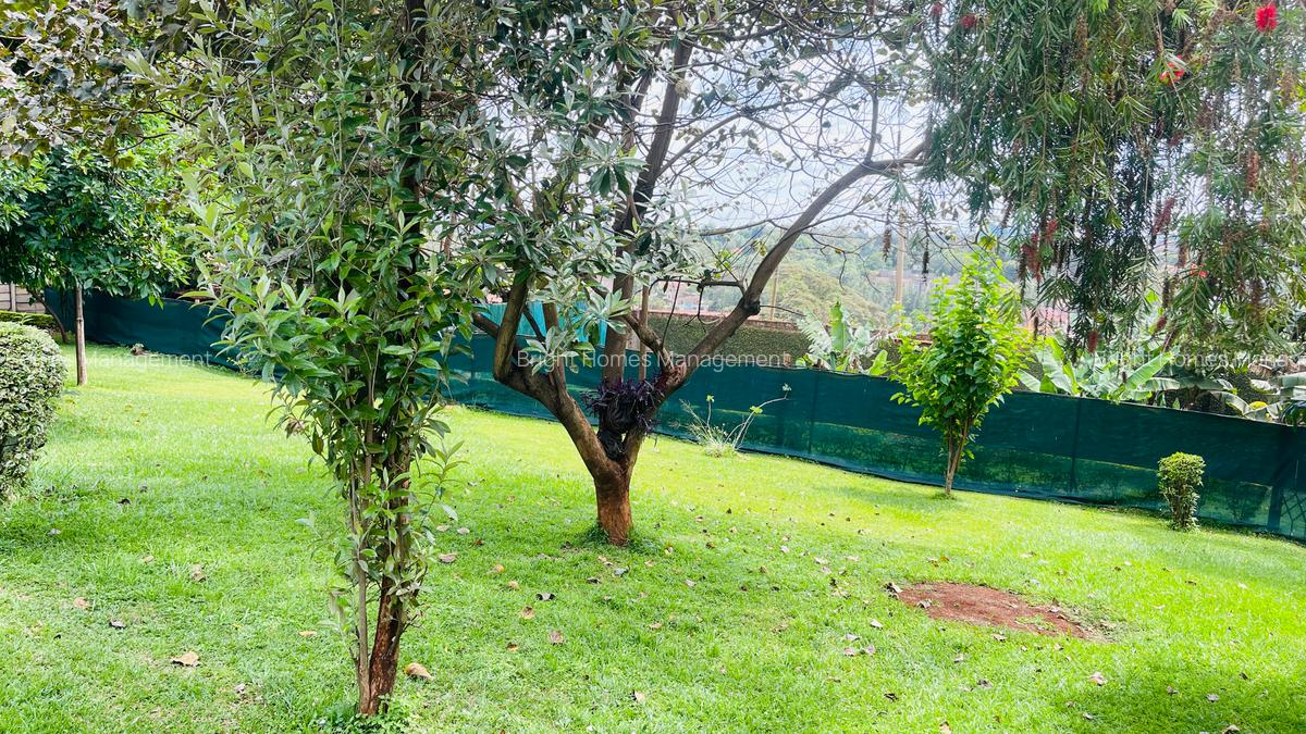 Commercial Property with Backup Generator in Lavington - 19