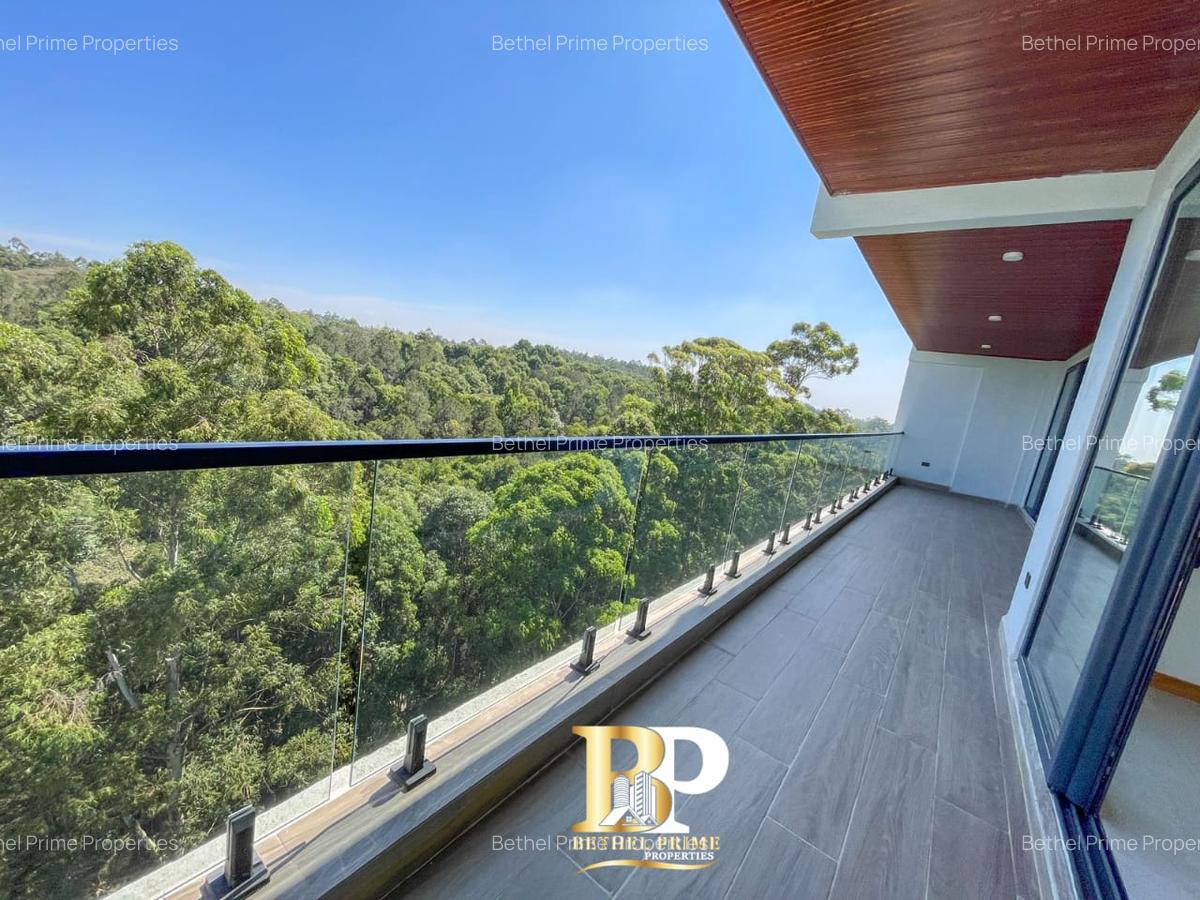 4 Bed Apartment with En Suite in Spring Valley - 1