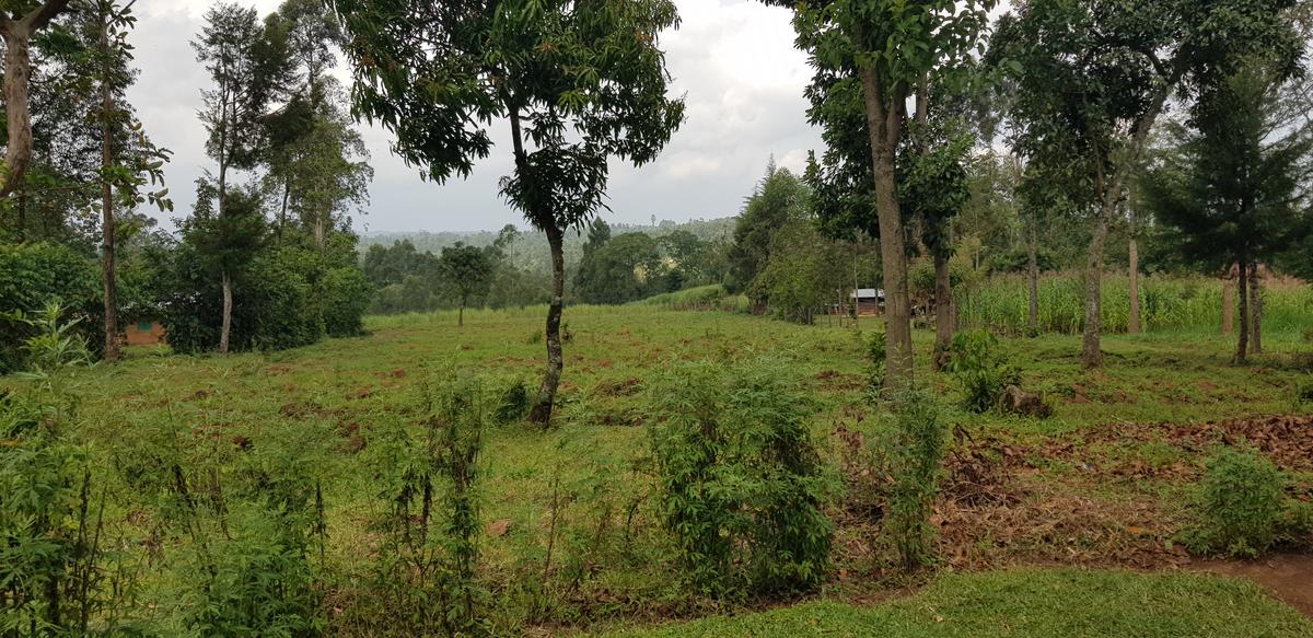 Residential Land at Mokoyot Close - 8