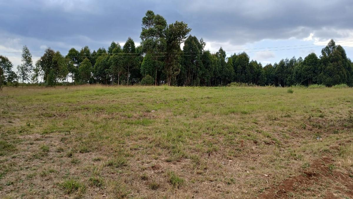 0.045 ha Residential Land at Kikuyu - 4