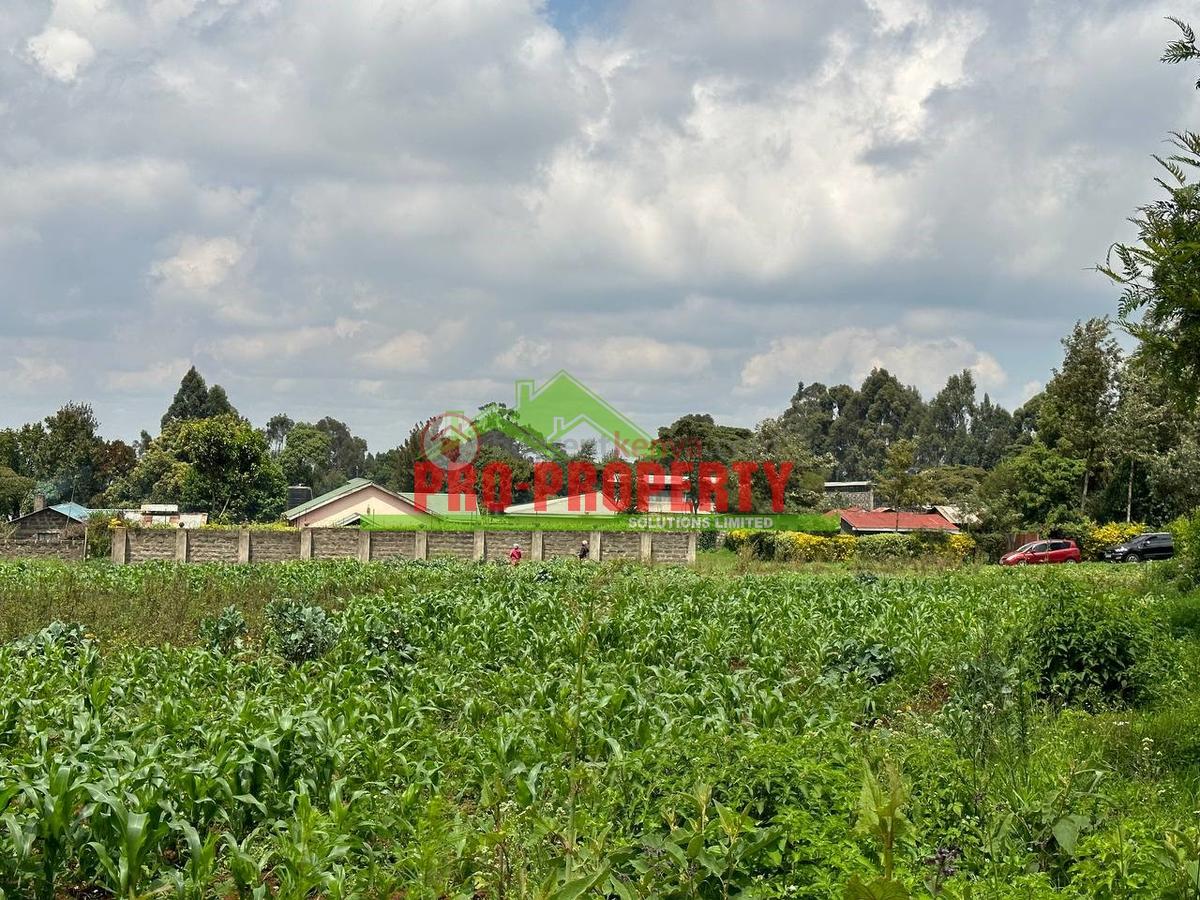 0.4 ha Land at Tilisi - 1