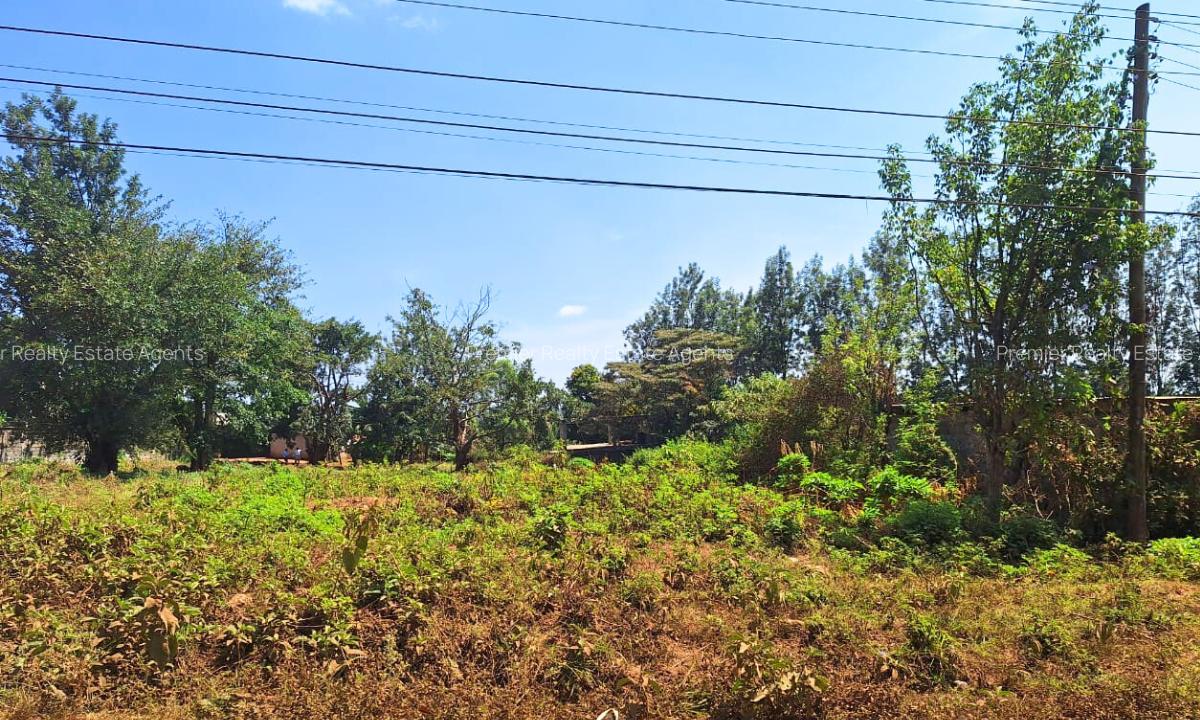 0.75 ac Commercial Land at Thindigua - 6