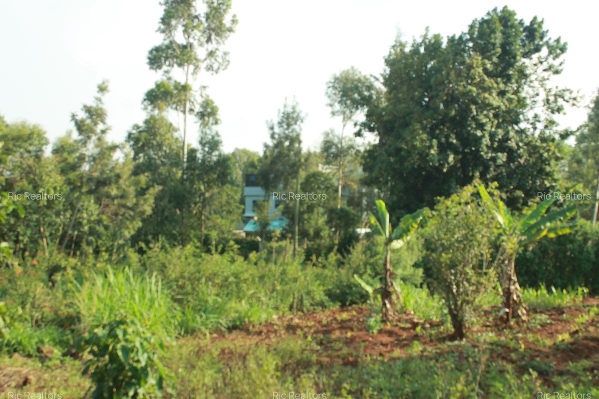 0.25 ac Land at Gikambura - 2