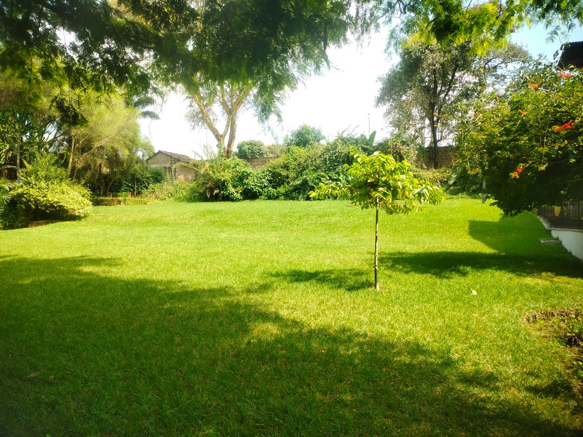 1 m² Residential Land at One Acre Land For Sale In Spring Valley - 2