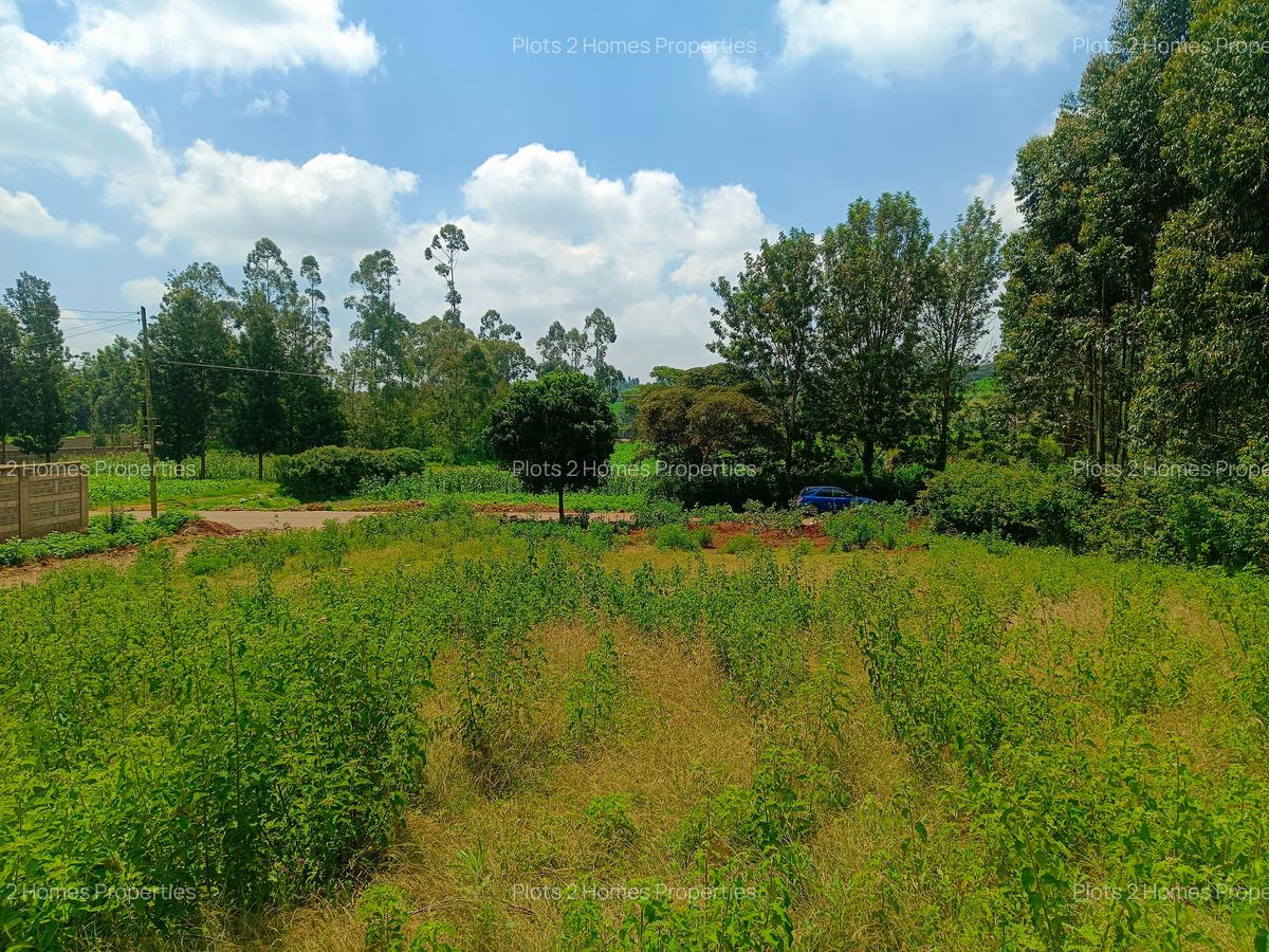 1,000 m² Residential Land at Jambu Tv - 13