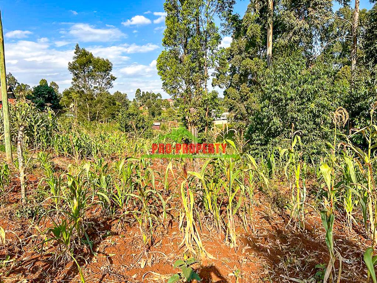 0.05 ha Residential Land at Gikambura - 5