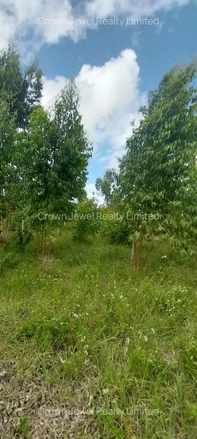 Land in Diani - 4