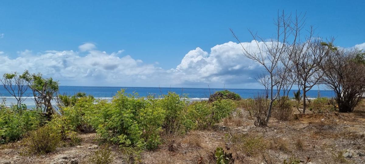 Residential Land in Nyali Area - 3