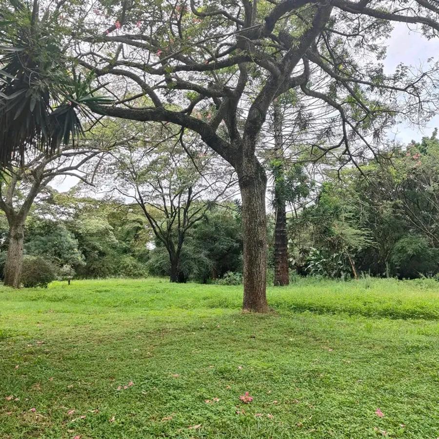 200 ac Land at Kilimani - 9