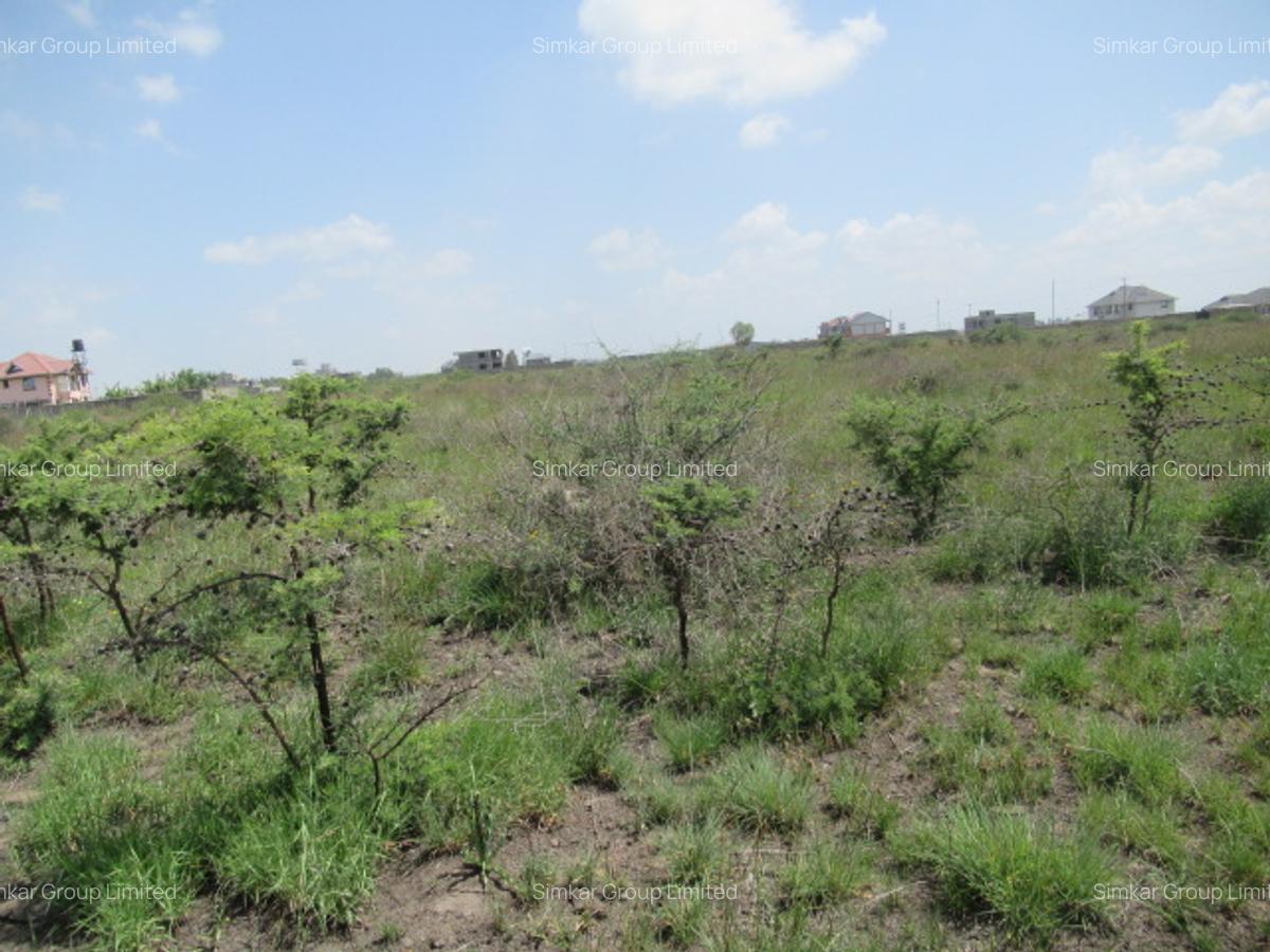 6.1 ac Land at Sabaki - 4