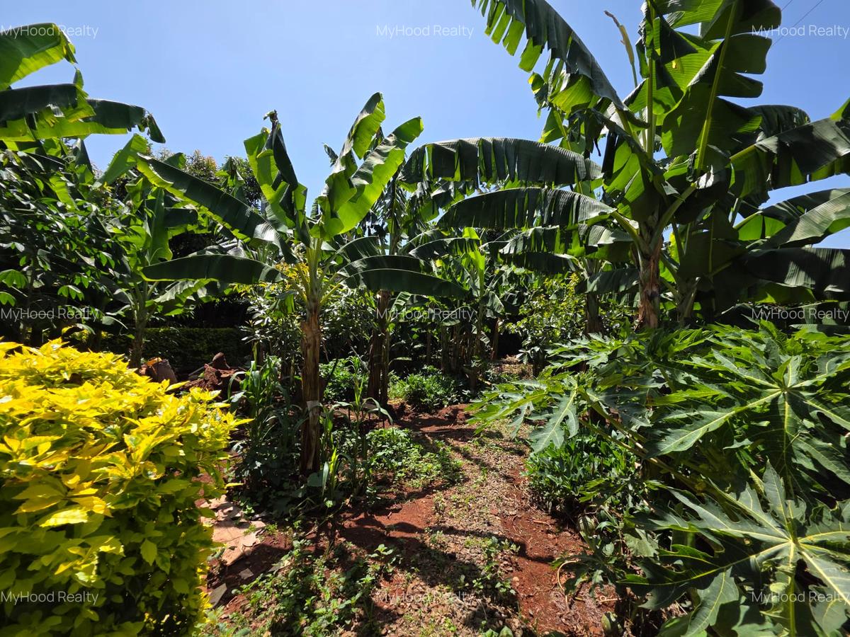 4 Bed House with En Suite at Muthaiga North - 10