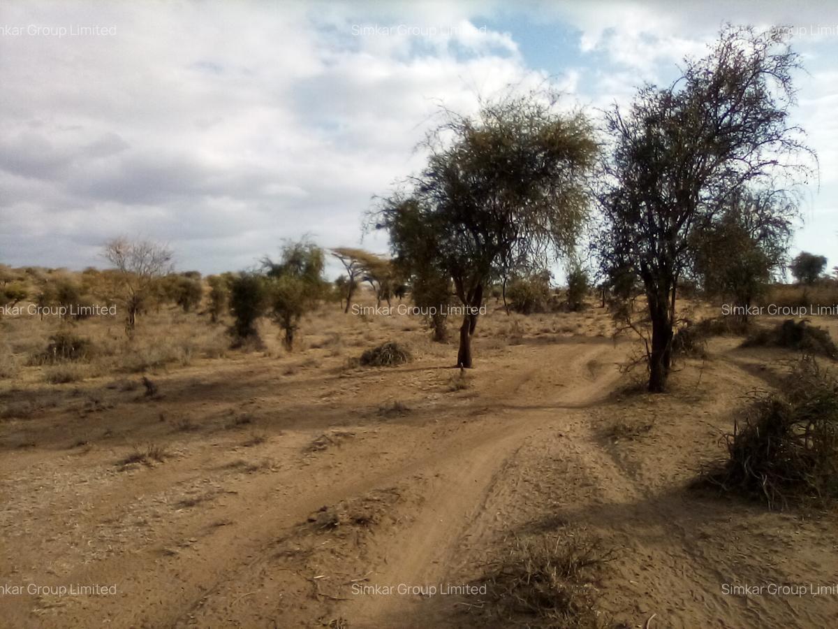 Land at Lorogoswa - 15