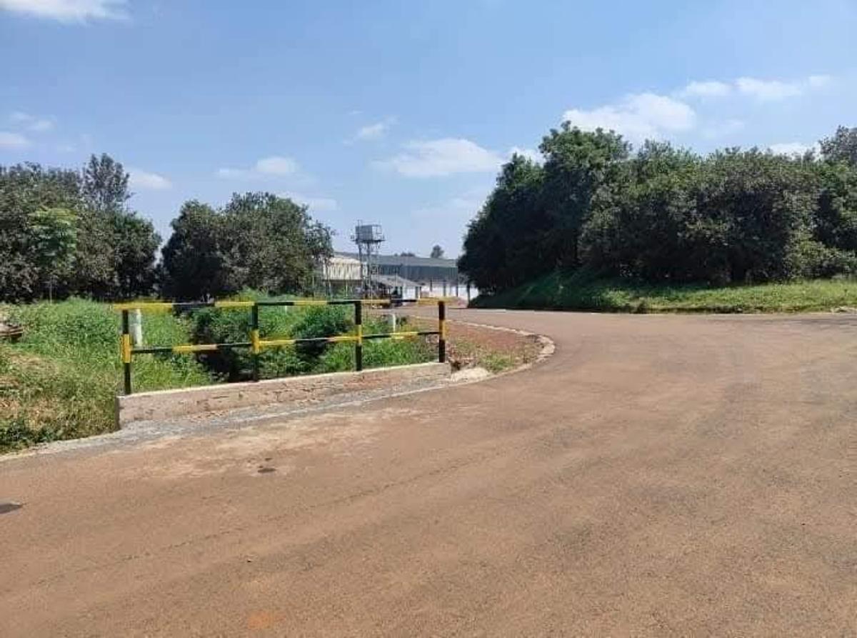 0.125 ac Land at Thika Grove Chania-Opposite Blue Post Hotel - 14