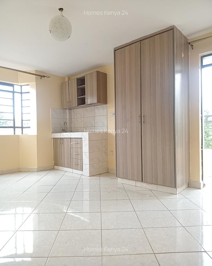 Studio Apartment in Ruaka - 3