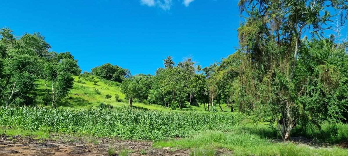 2.5 ac Land at Mtwapa Creekside - 13