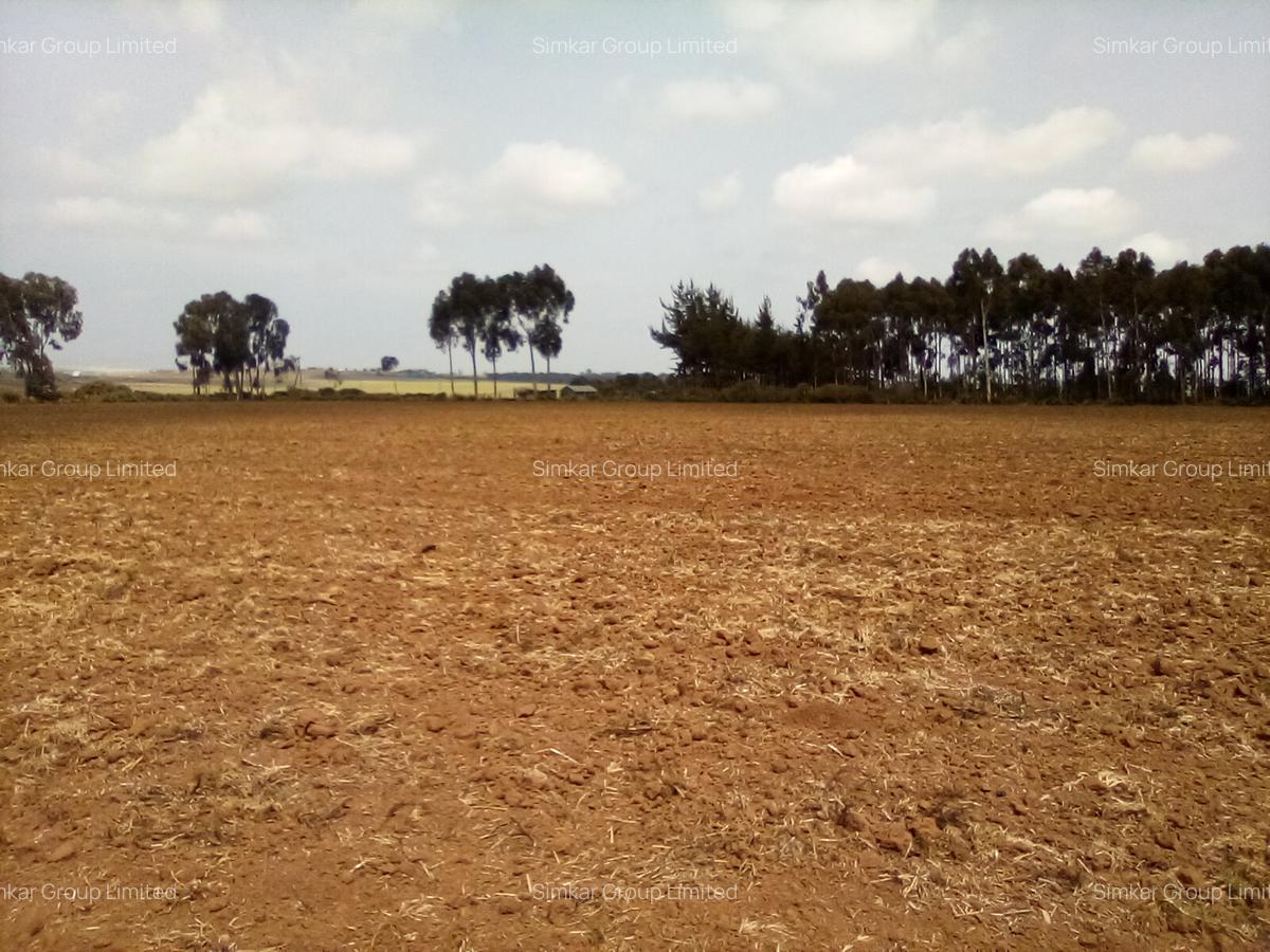 Land at Timau - 1