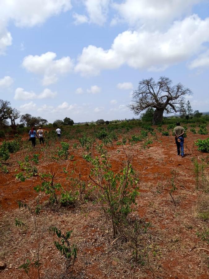 5,000 ft² Land at Mavueni - 9