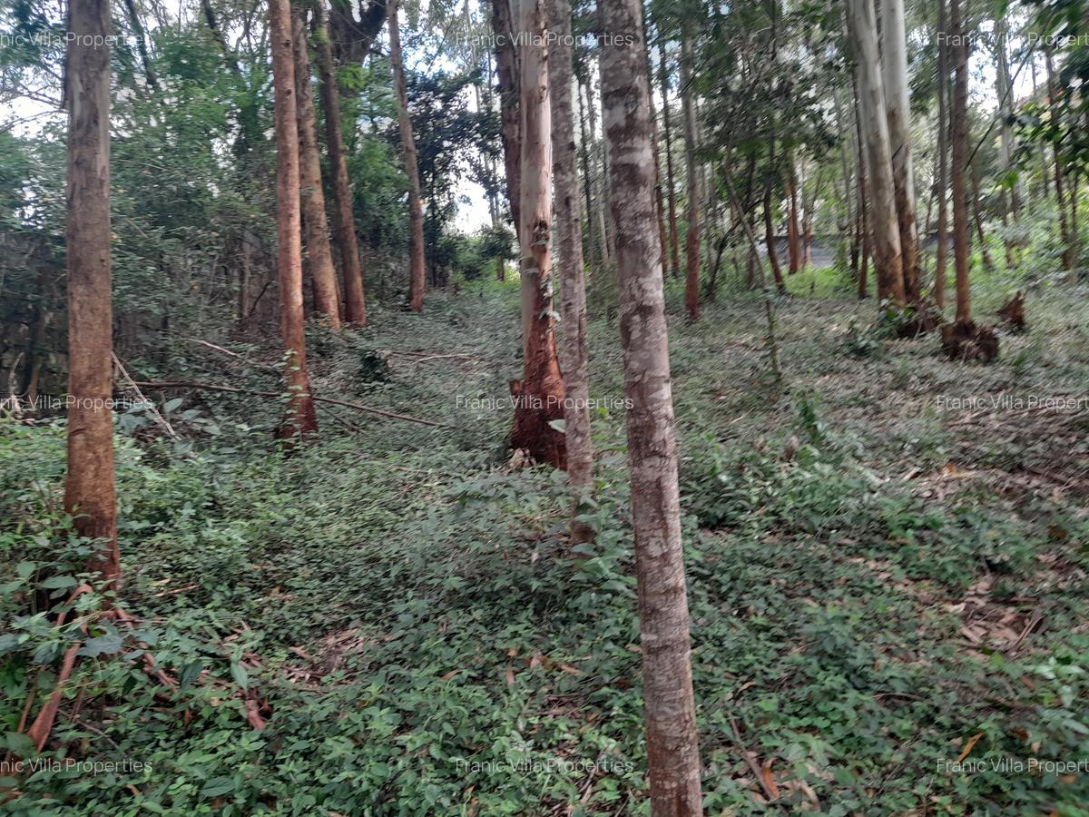 0.5 ac Residential Land at Old Kitisuru - 9