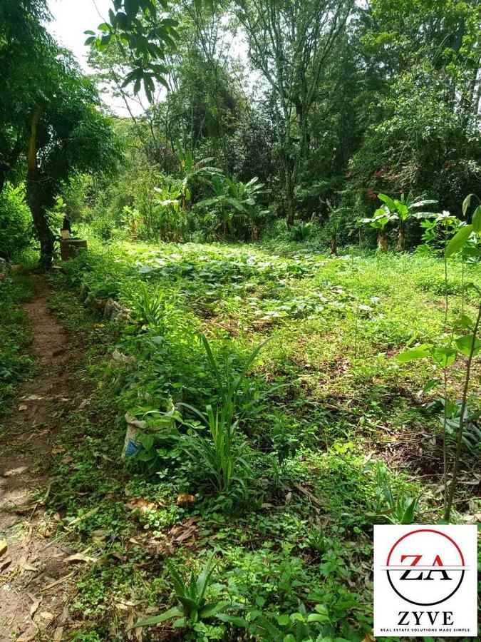 5 ac Land at Karen - 12