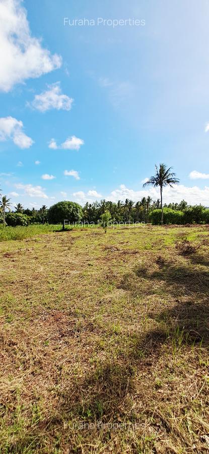 Land at Vipingo - 16