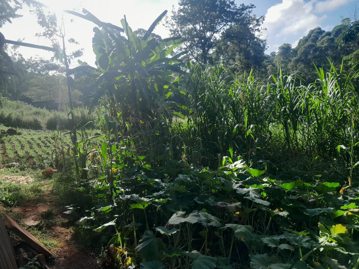 2.5 ac Land in Kitisuru - 4