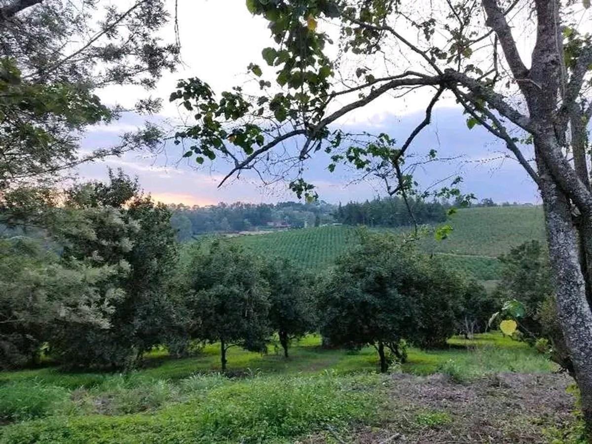 50 ft² Residential Land at Juja - 9
