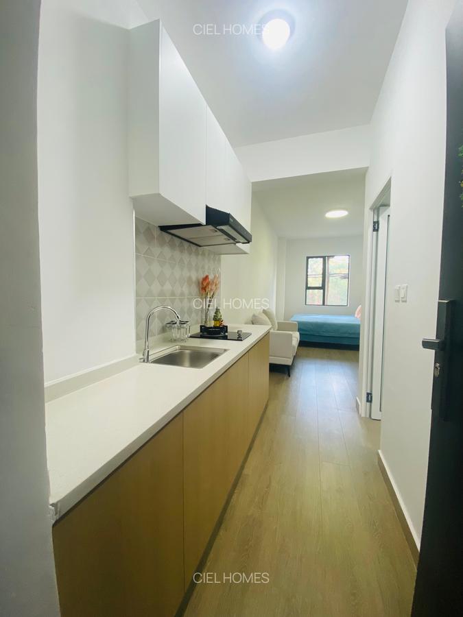 Furnished Studio Apartment with En Suite in Juja - 5