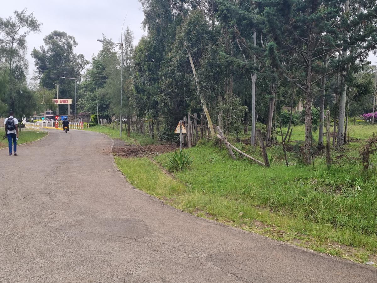 Land in Hurlingham - 3