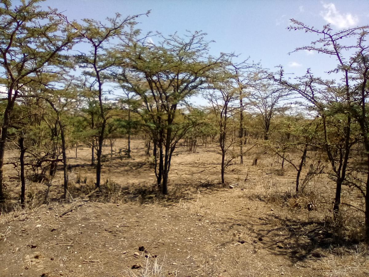 Land at Nanyuki-Rumuruti Rd - 7