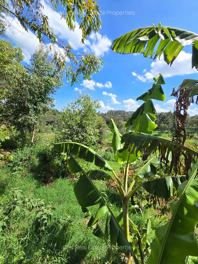 Residential Land in Kitisuru - 11
