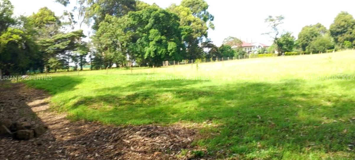 1 ac Land in Karen - 2