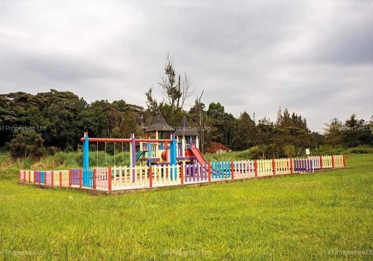 1 ac Land in Karen - 3