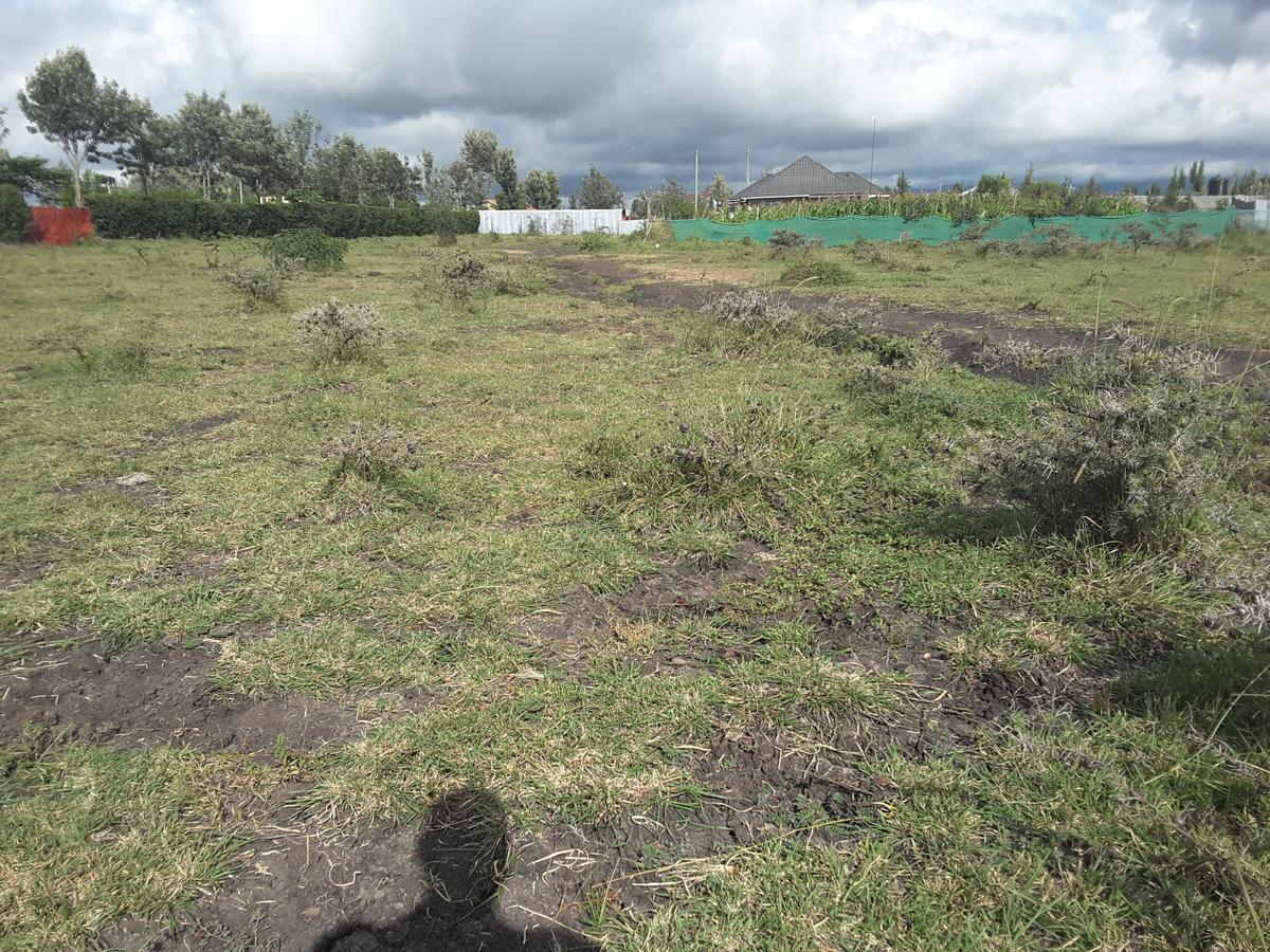 0.1 ha Residential Land in Ongata Rongai - 9