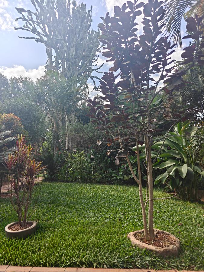 1 Bed House with En Suite in Karen - 2