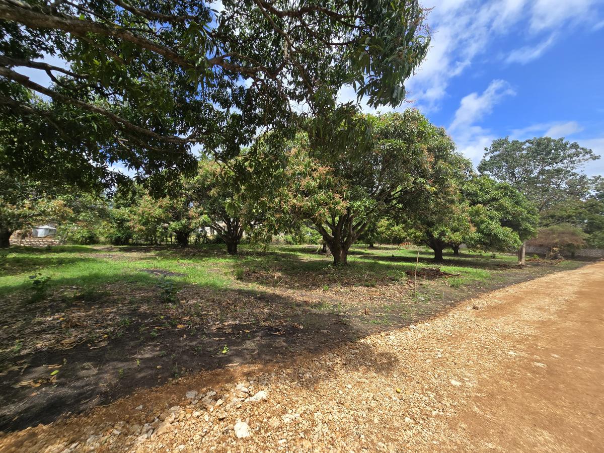 Land at Mombasa Malindi Highway - 3