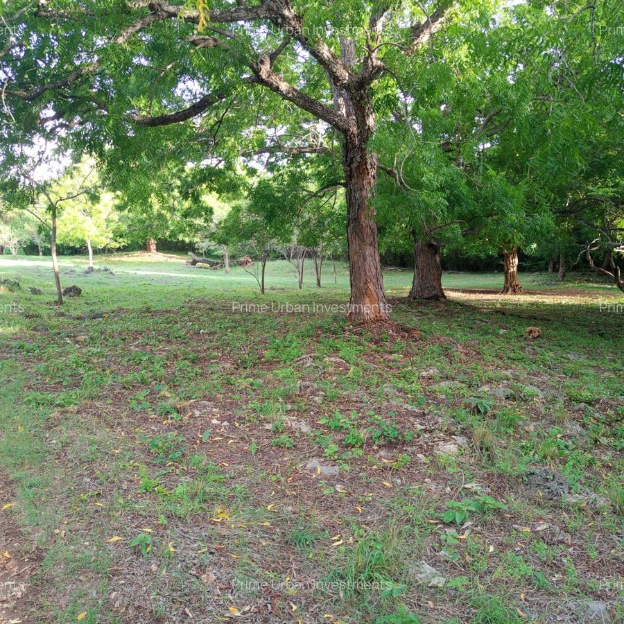 90 ac Residential Land at Kuruwitu-Vipingo - 7