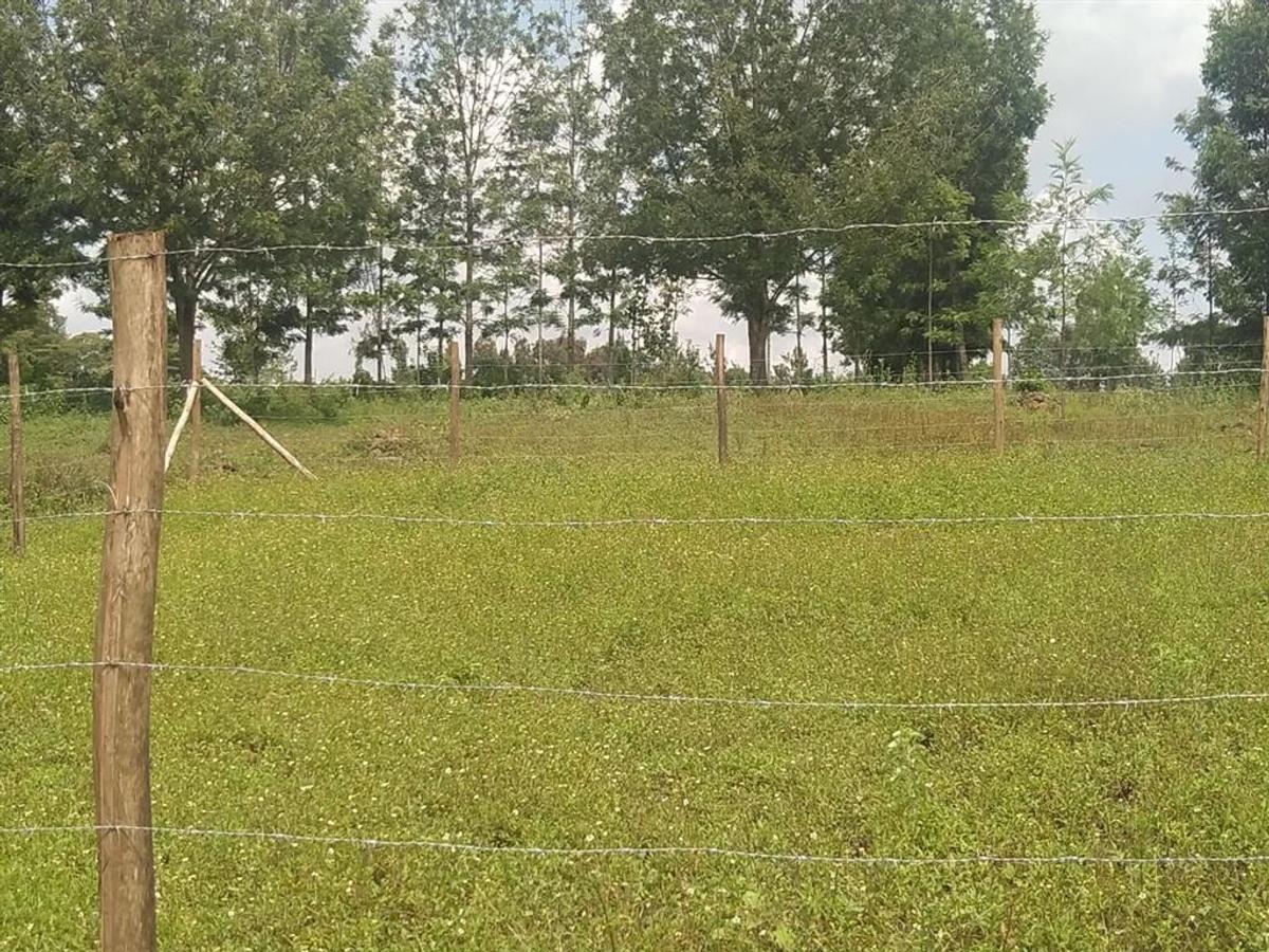 500 m² Residential Land in Ngong - 4