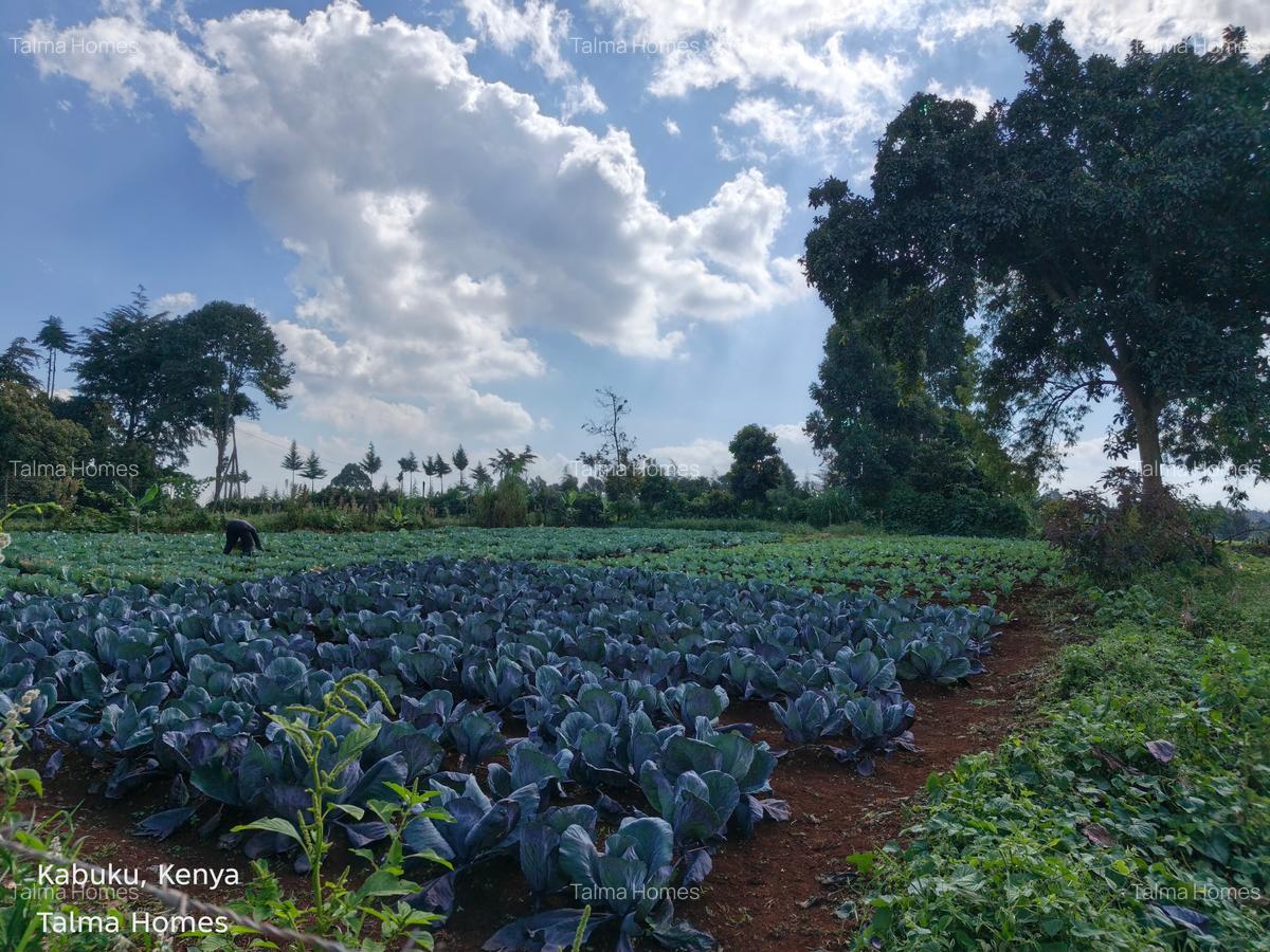 Land at Tigoni - 3