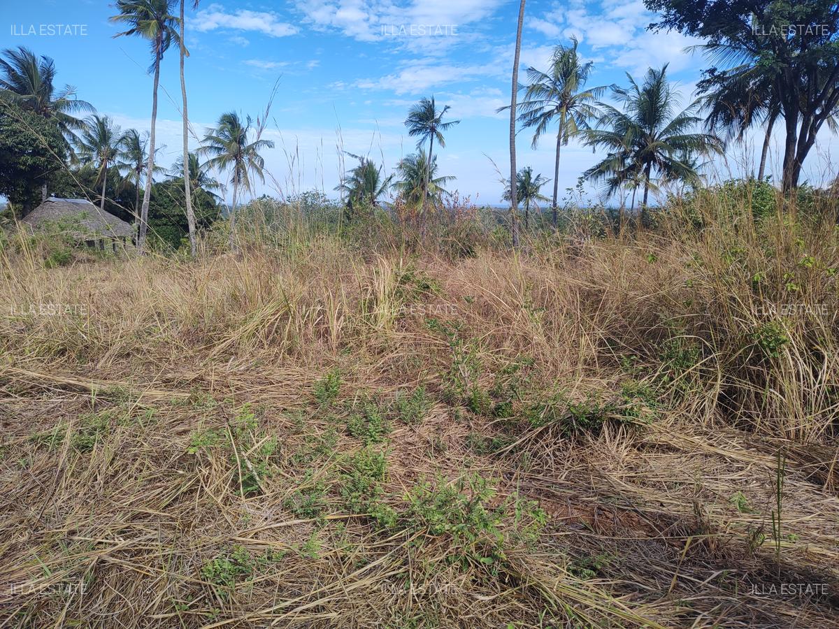 1,450 ac Land at Mabokoni - 8